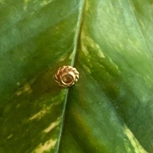 BVLA Choctaw Threadless End 14K Gold